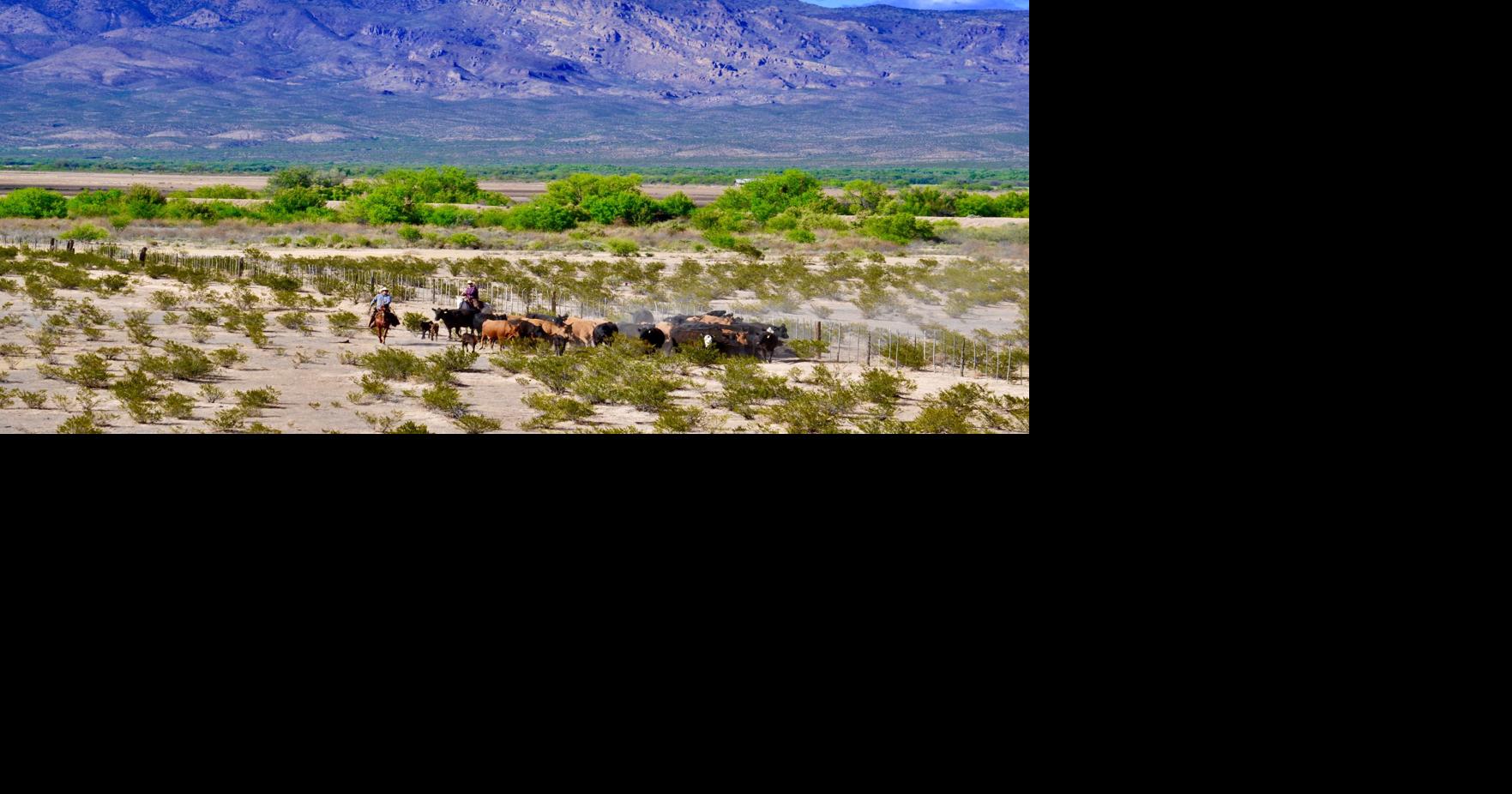 New BLM Grazing Regulations Promise Needed Flexibility