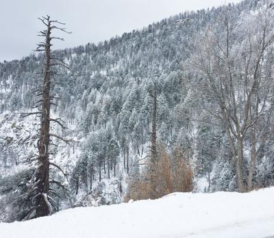 Winter Storm Warning In Effect Thursday Friday Local News