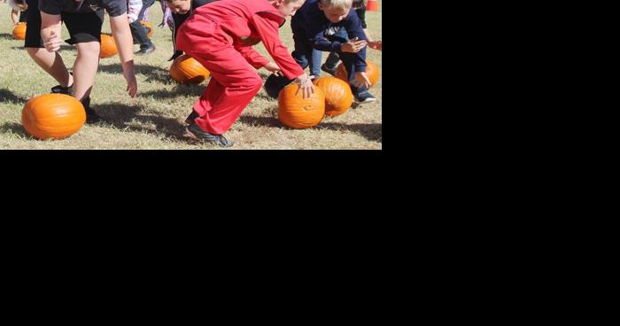 Haunted Hall, farmers market among this year's Harvest Festival attractions - Vimarsana News