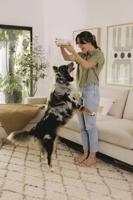 Eight ways to treat your pet like part of the family