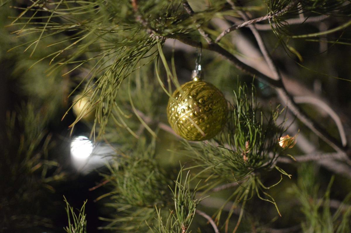 Christmas tree permits available at local ranger district offices