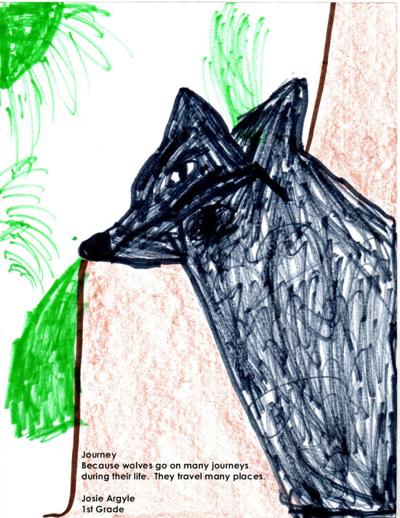 Conservation Group Hosting Wolf Naming Contest For School Children