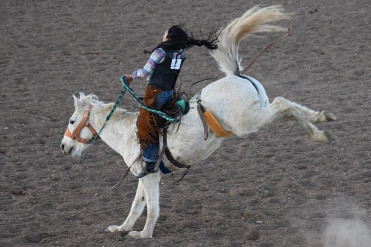 Rodeo bronc riders test their limits Featured