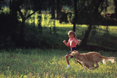 What to know about disease transmission between pets and people