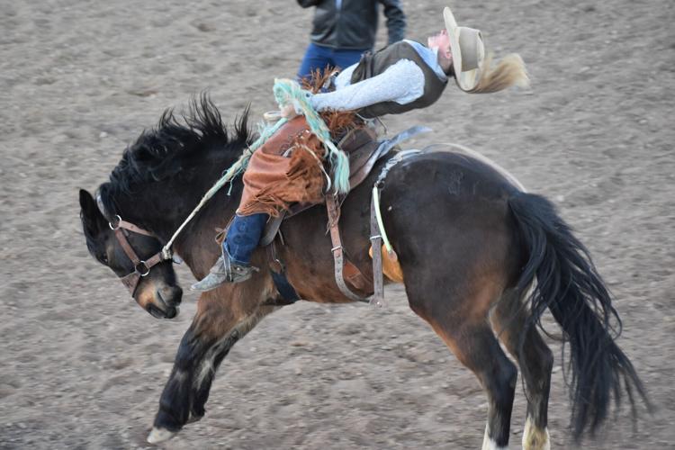 Rodeo bronc riders test their limits Featured