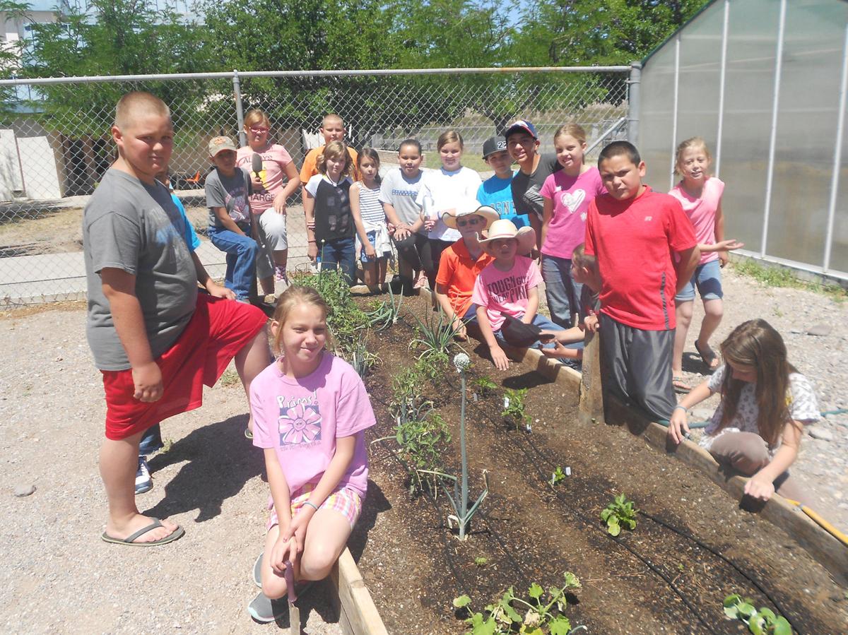 Plant Club has successful year News