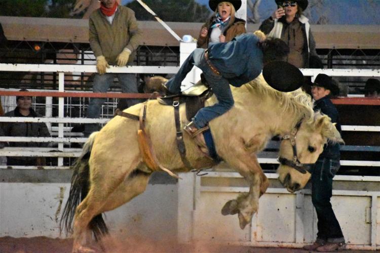 Rodeo bronc riders test their limits Featured