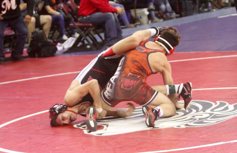 2017 High School Wrestling State Championships photo gallery News