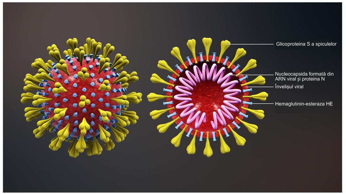 When Will Arizona Hit The Covid 19 Peak Depends On Who You Ask Coronavirus Eacourier Com