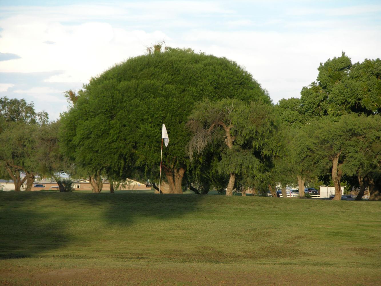 Safford, Thatcher agree to shared golf course stewardship Local News Stories
