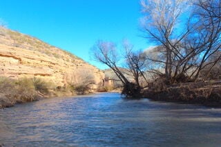 IMG_1107.jpeg