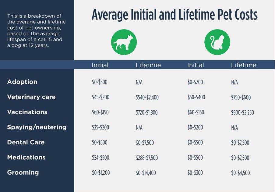 Lowcost spay and neuter vouchers available Local News Stories