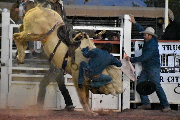 Rodeo bronc riders test their limits Featured