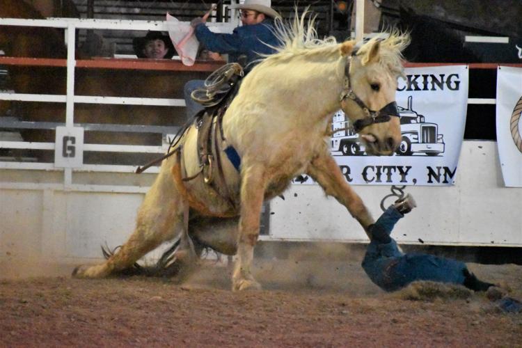 Rodeo bronc riders test their limits Featured