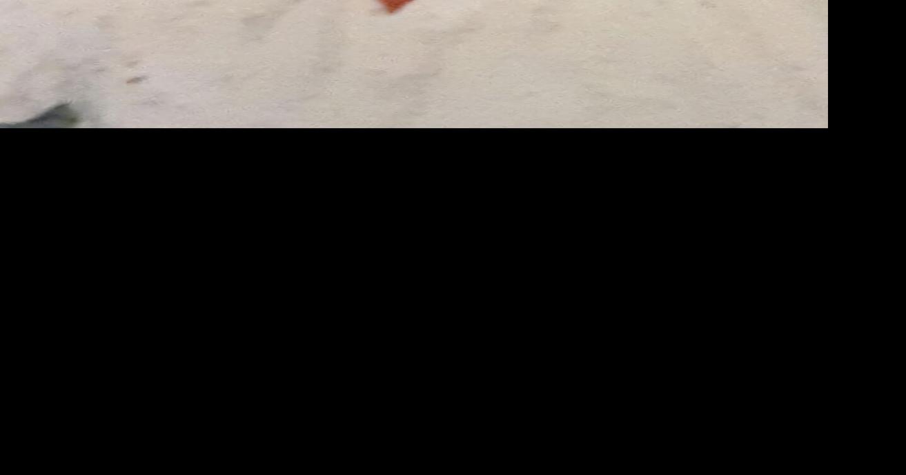 Darwin Hayes King Obituaries