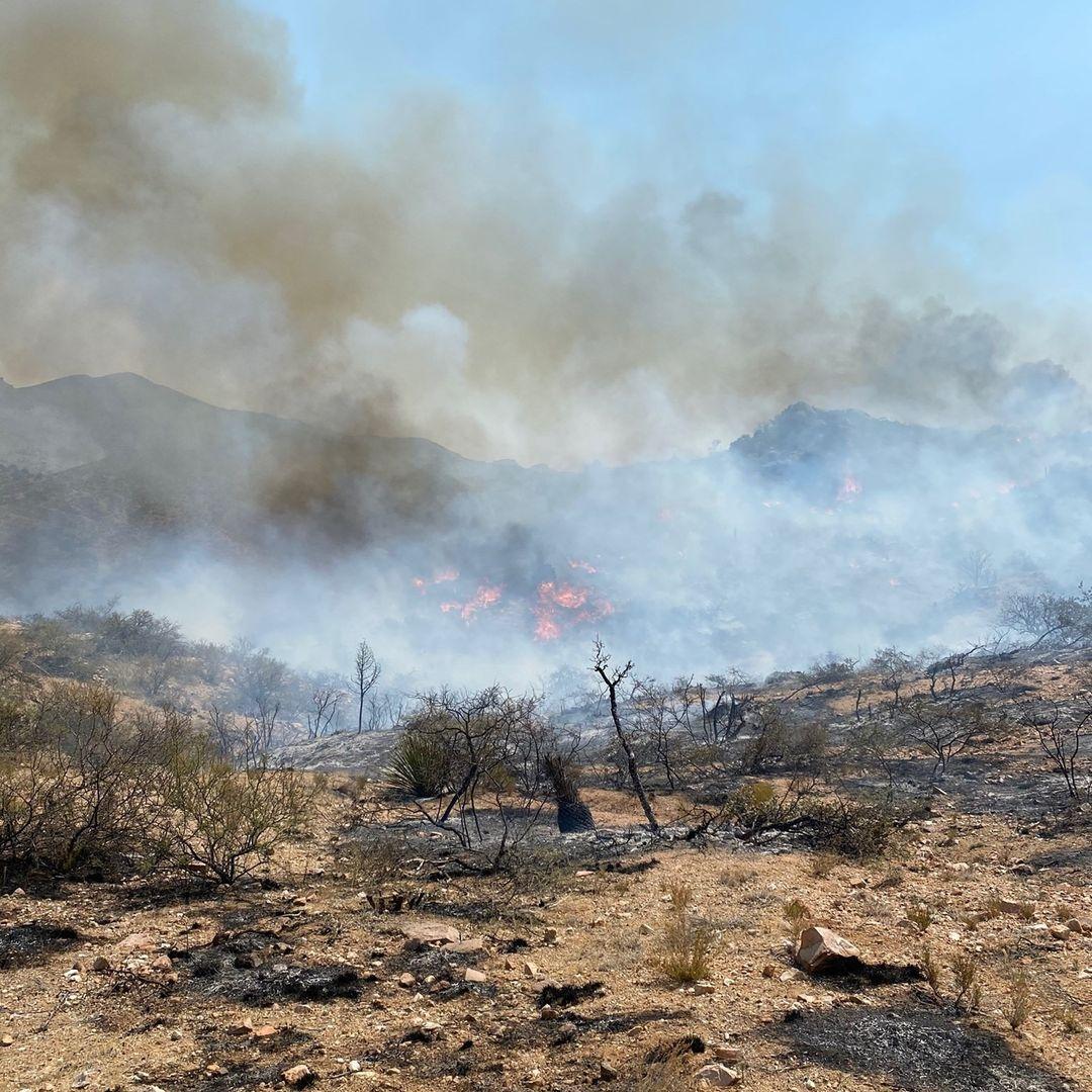 Pinnacle Fire prompts evacuations, grows to nearly 16,000 acres Local News