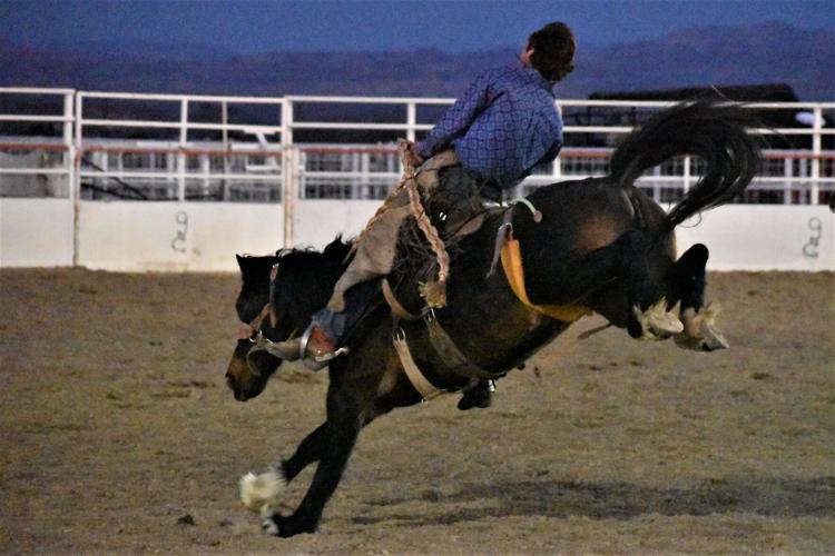 Rodeo bronc riders test their limits Featured