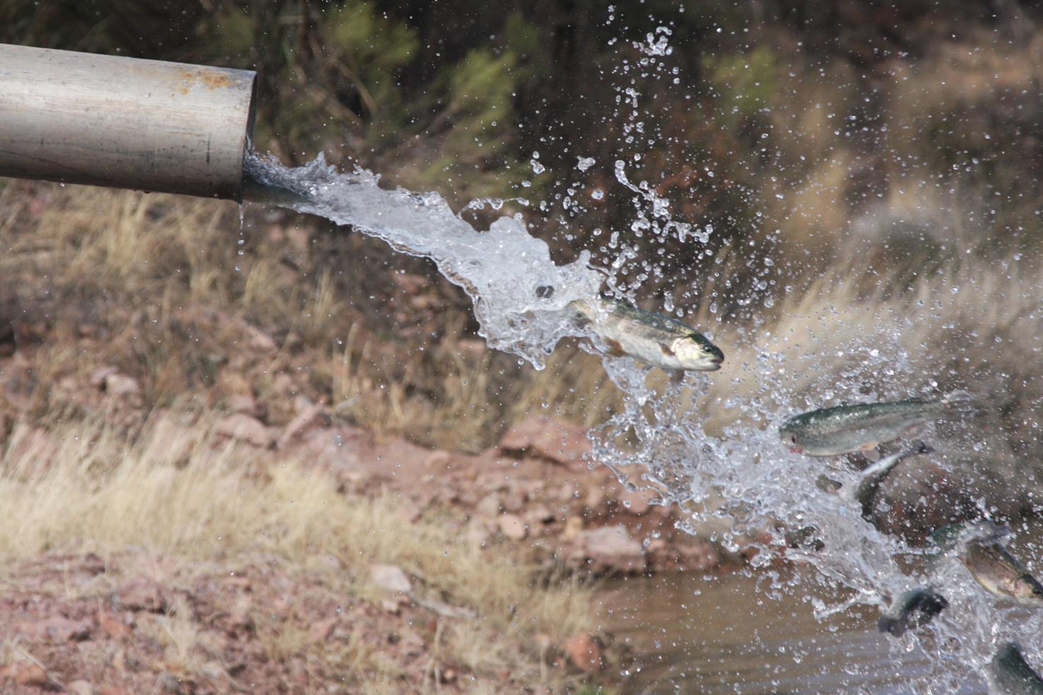 Fishing report keeps anglers informed Local Sports News