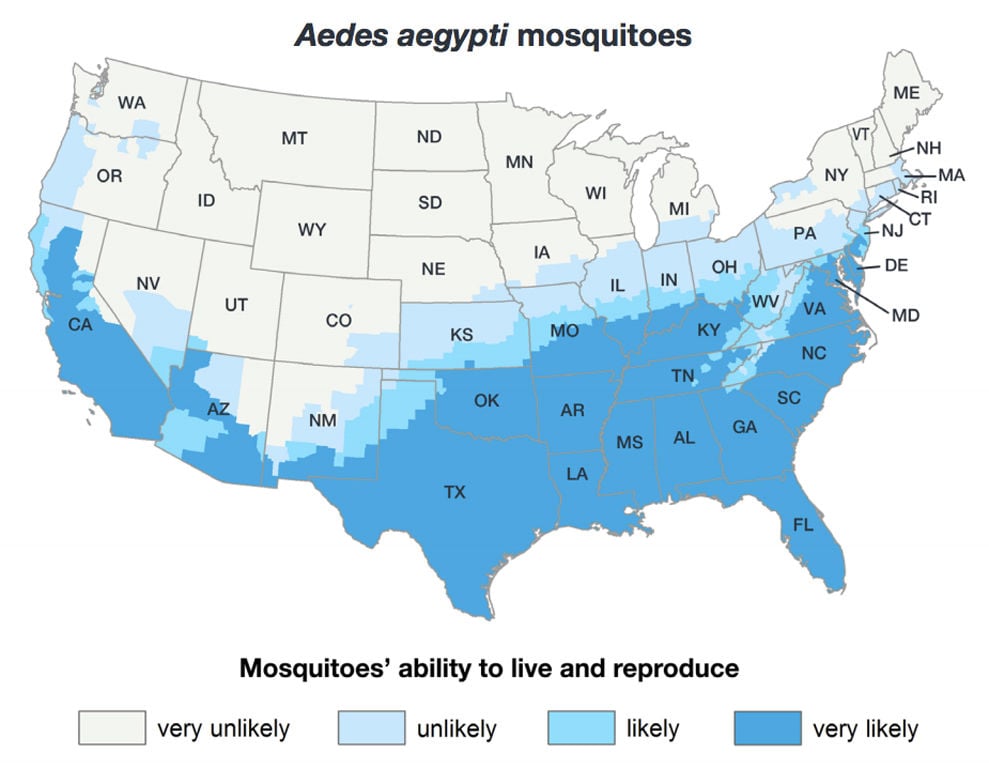 It’s not just you; mosquitoes are worse this year complementary