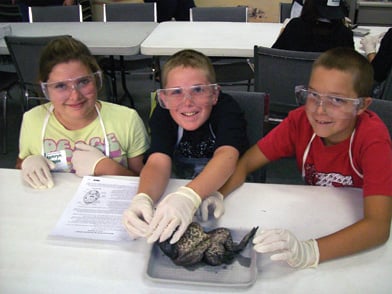 Summer Science Camps now accepting applications | Lifestyle | eacourier.com