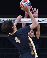 Central falls, Knights win in volleyball openers
