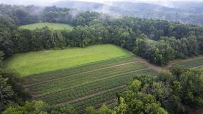 Farm, forest under full protection after $1.4M purchase