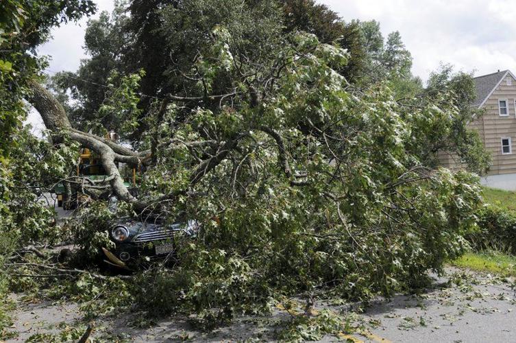 Driver unharmed after tree lands on car | News | eagletribune.com