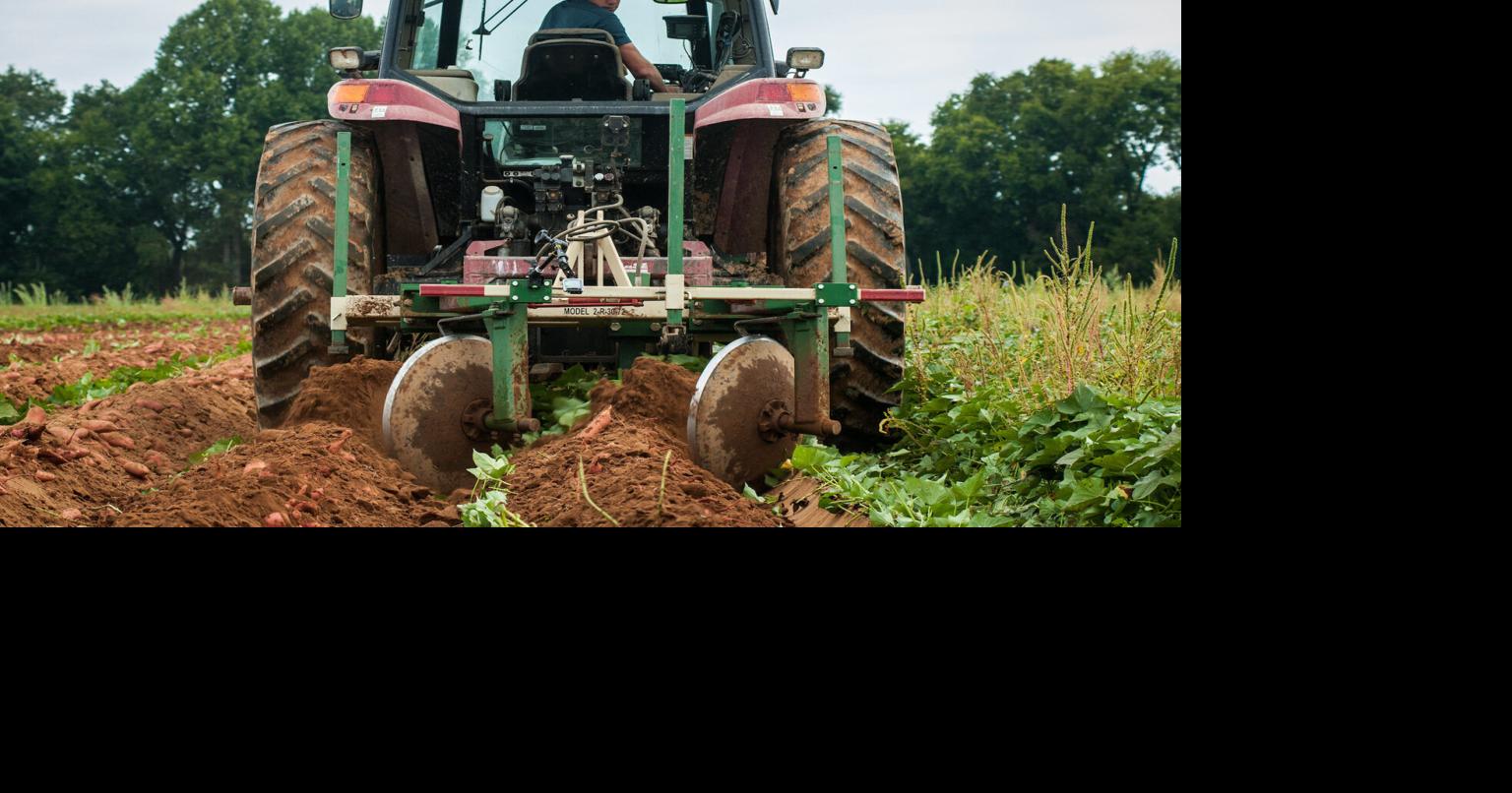 Study of insecticide-treated seeds killed by Senate