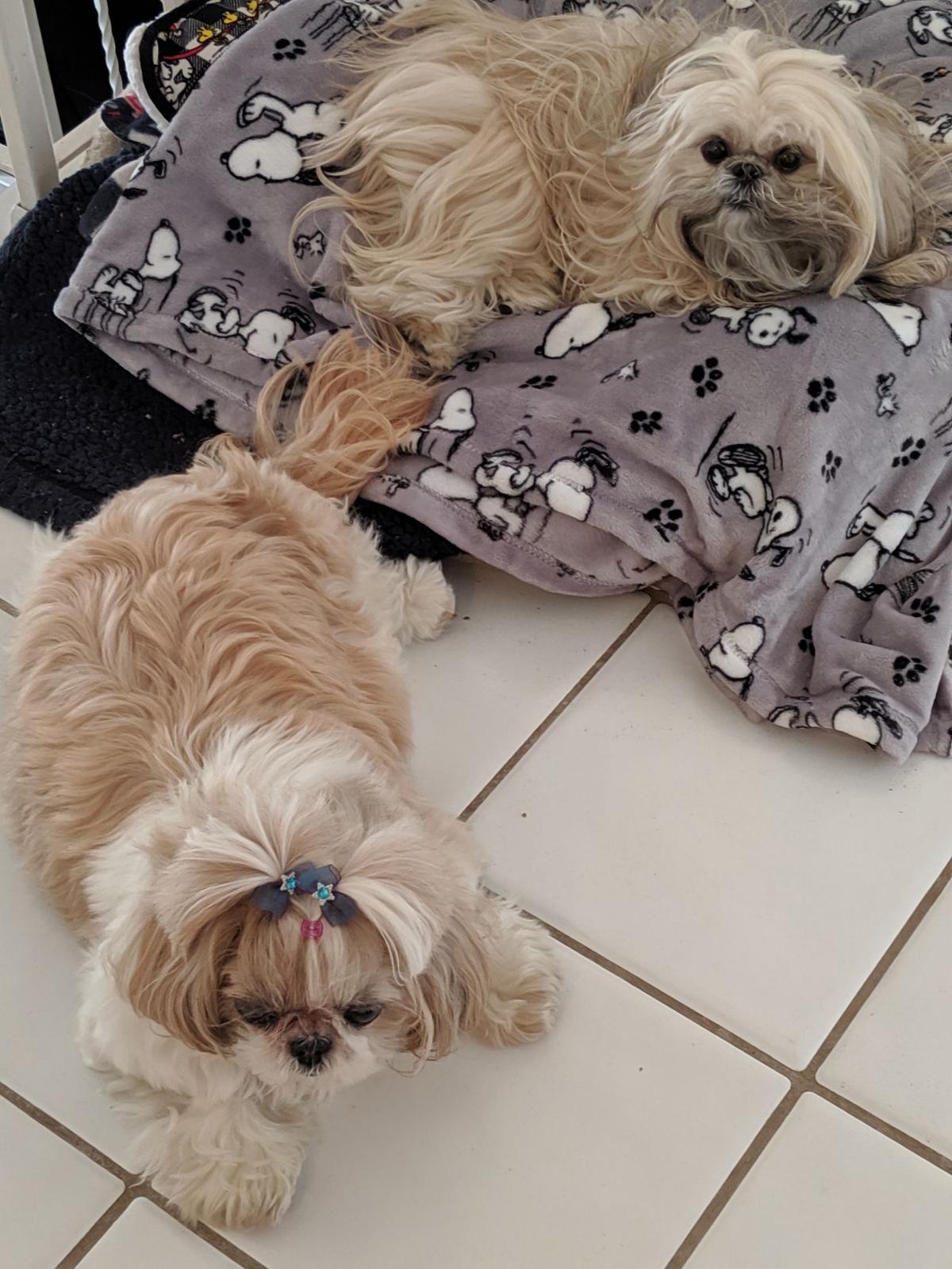 DAISY and DAK.jpg
