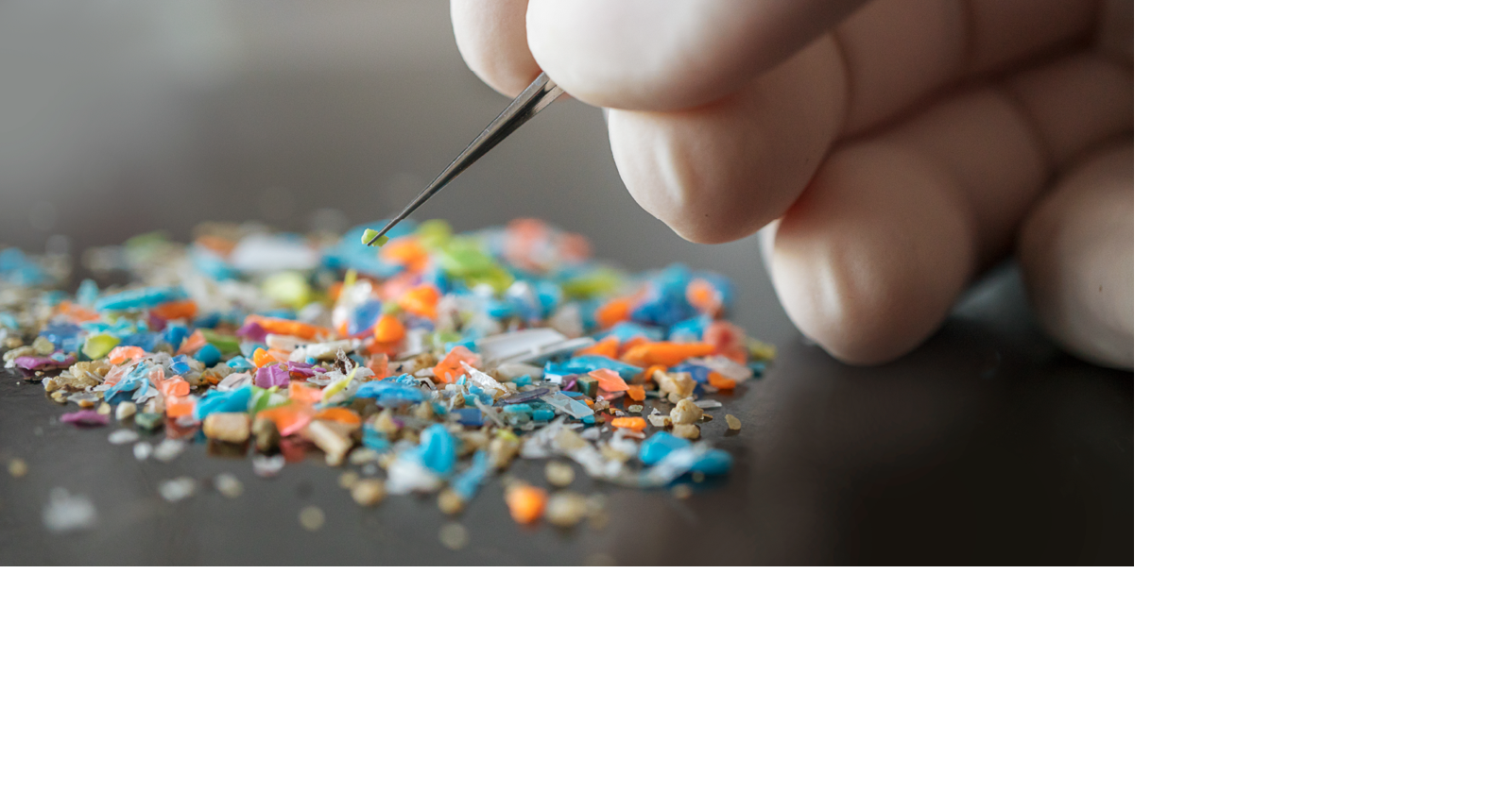 Learn about the dangers posed by microplastics | Calendar ...