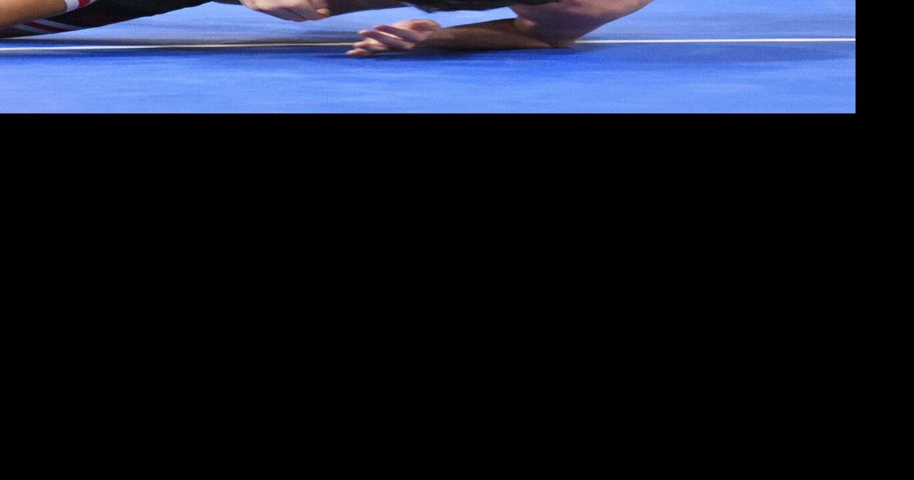 North Sectional Wrestling: Central takes second; Area matmen claim eight D-1 sectional titles