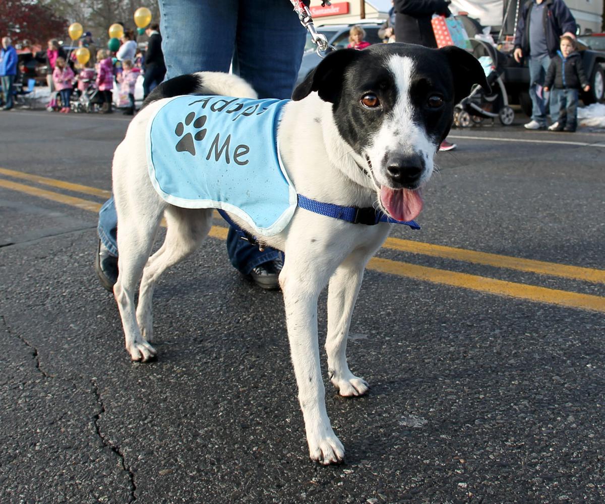 Slideshow Salem Holiday Parade Gallery