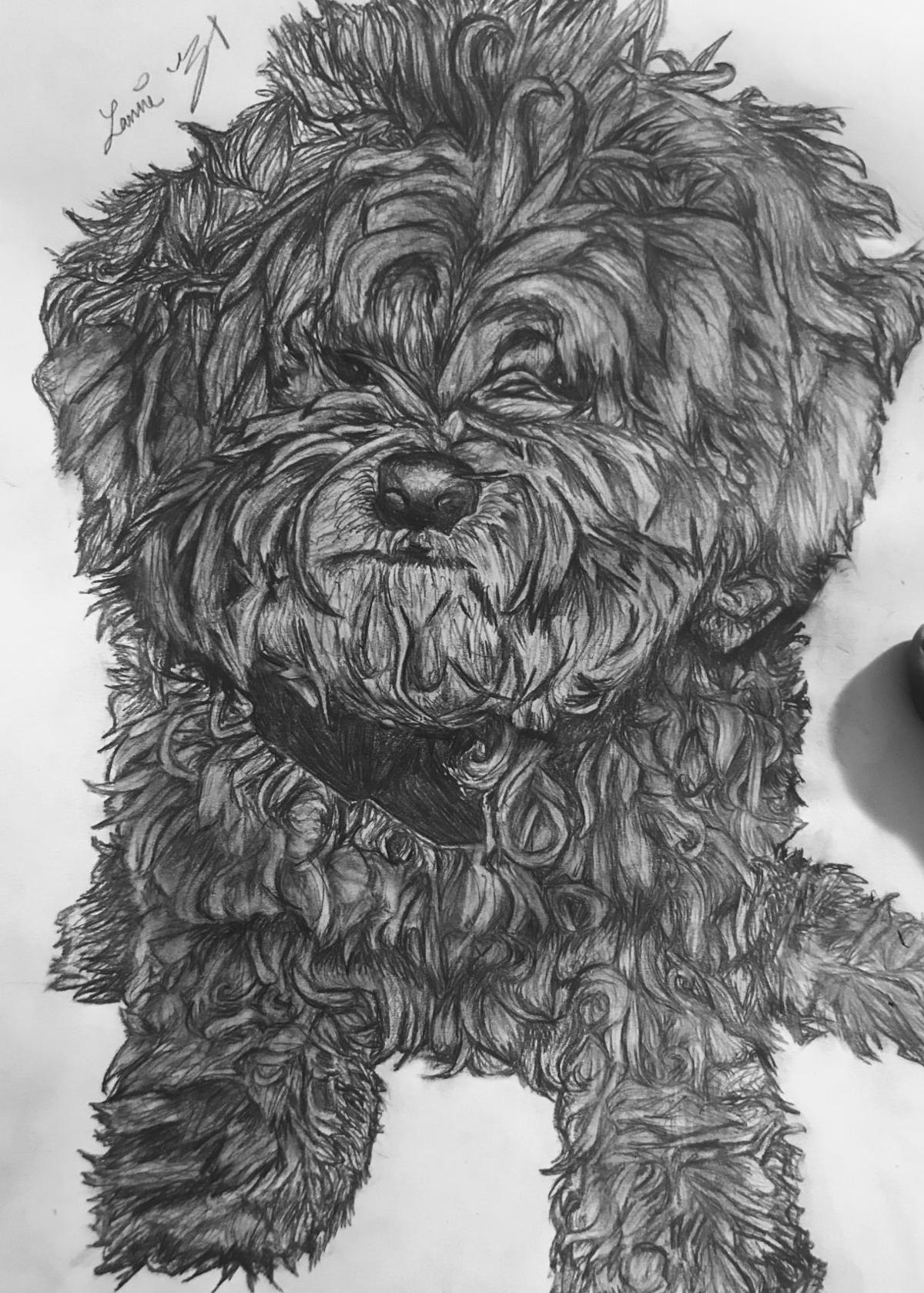 MILO DRAWING.jpg