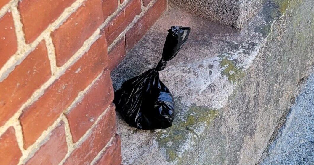 Dog waste a growing problem in downtown Haverhill | Haverhill Dog waste a growing problem in downtown Haverhill | Haverhill