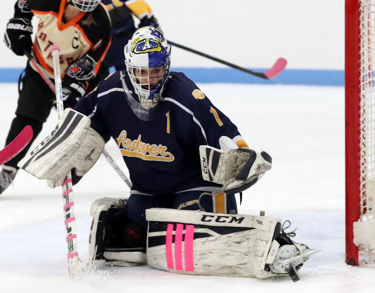 girls-flashing-hockey-big-bra-mature-tits