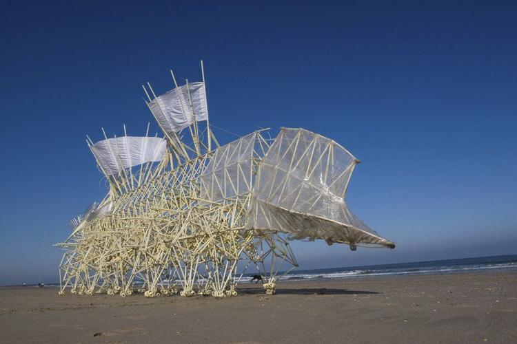 On the beach with Strandbeest; Kinetic sculpture to roam in advance of  Peabody Essex exhibit, Lifestyle