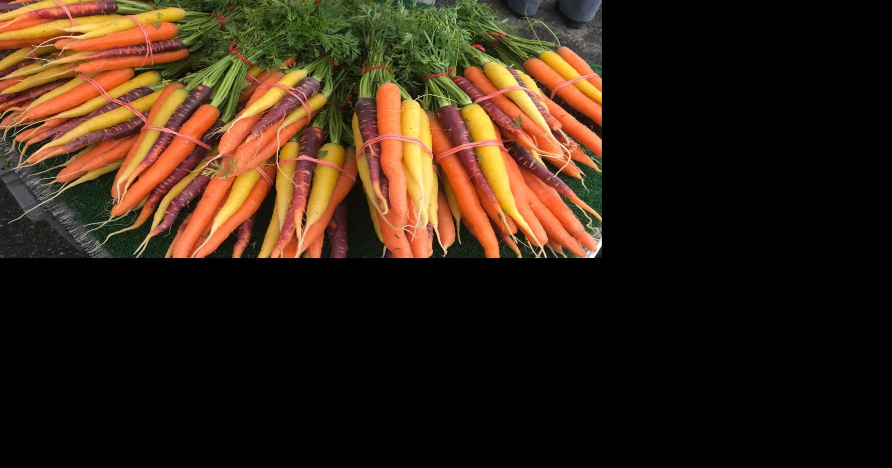 From farm to school: NH spending $190K to promote local sourcing for