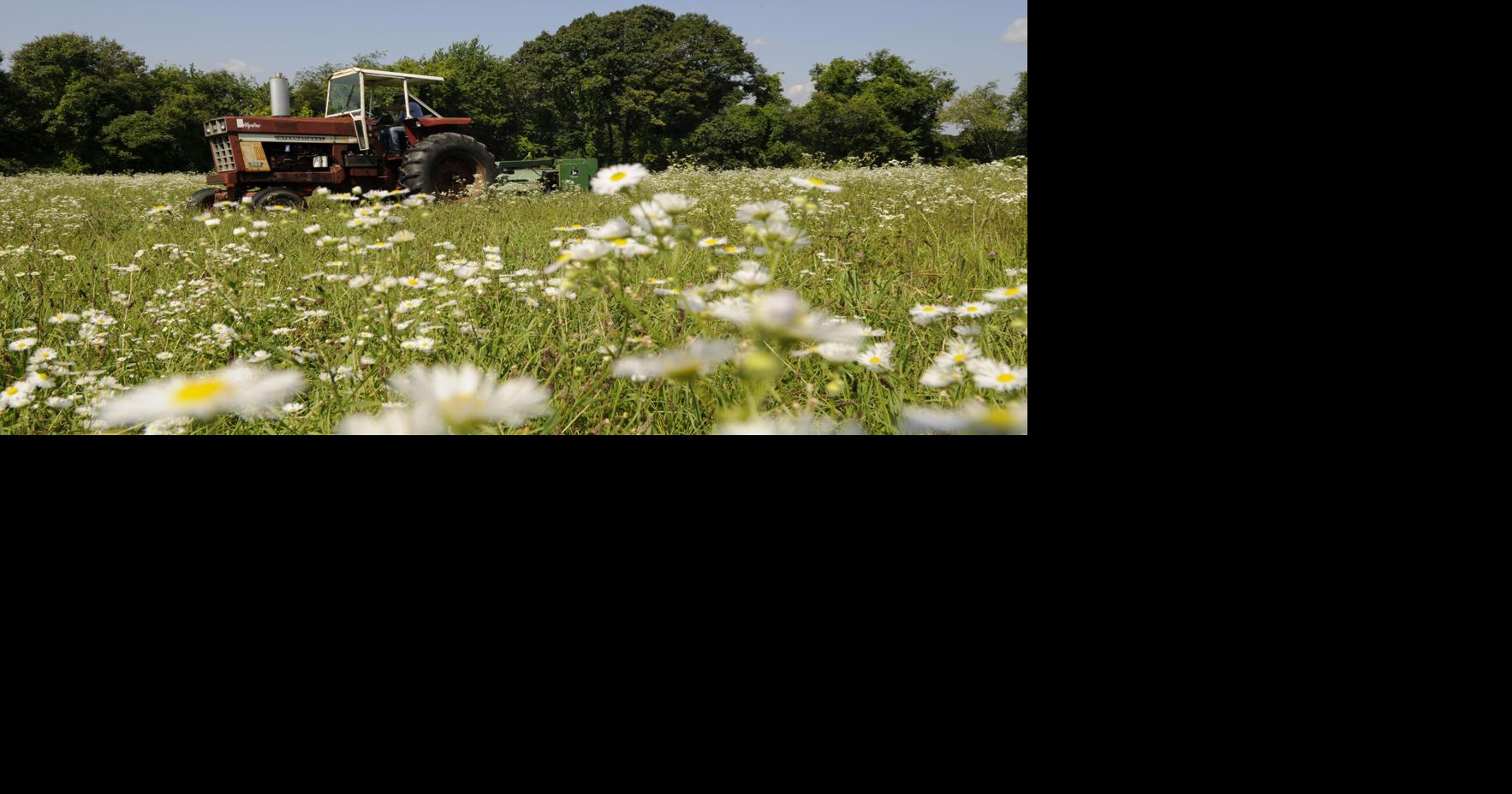 Historic farm's future up to voters