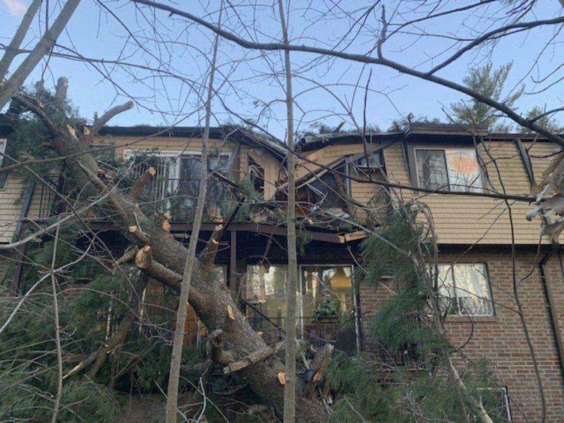 Tree falls on apartment