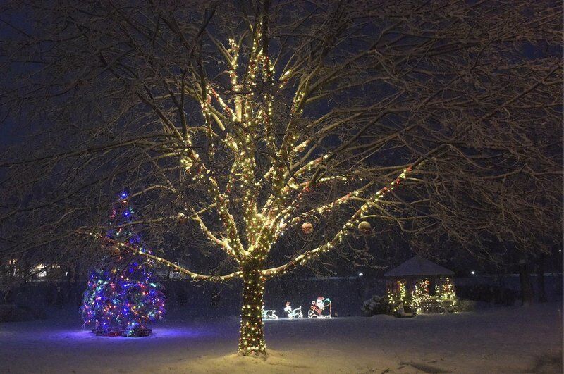Tree lights up Windham Town Common New Hampshire