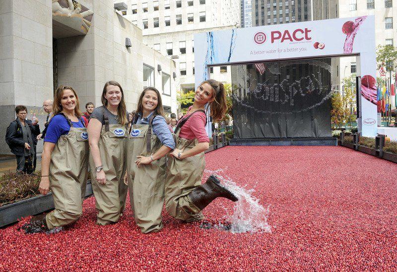 Ocean Spray Shuns Bay State Shoots Cranberry Commercial In Wisconsin News Eagletribune Com