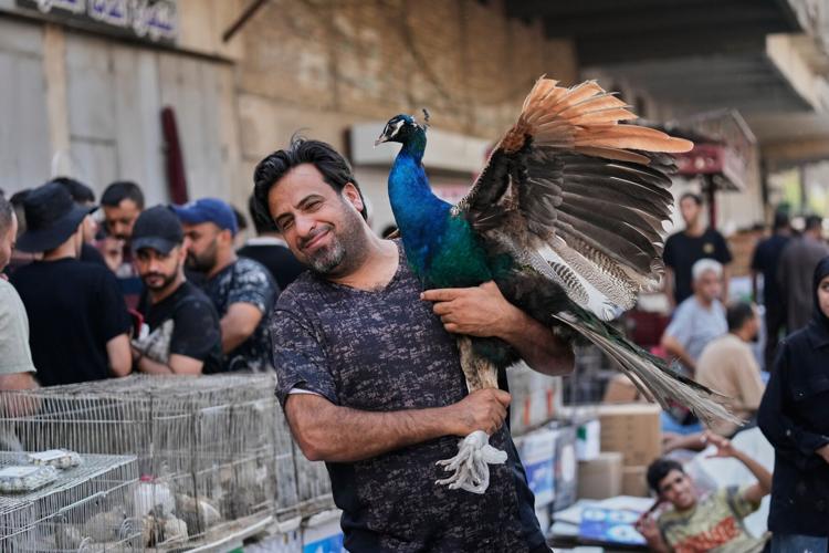 The top photos of the day by AP's photojournalists