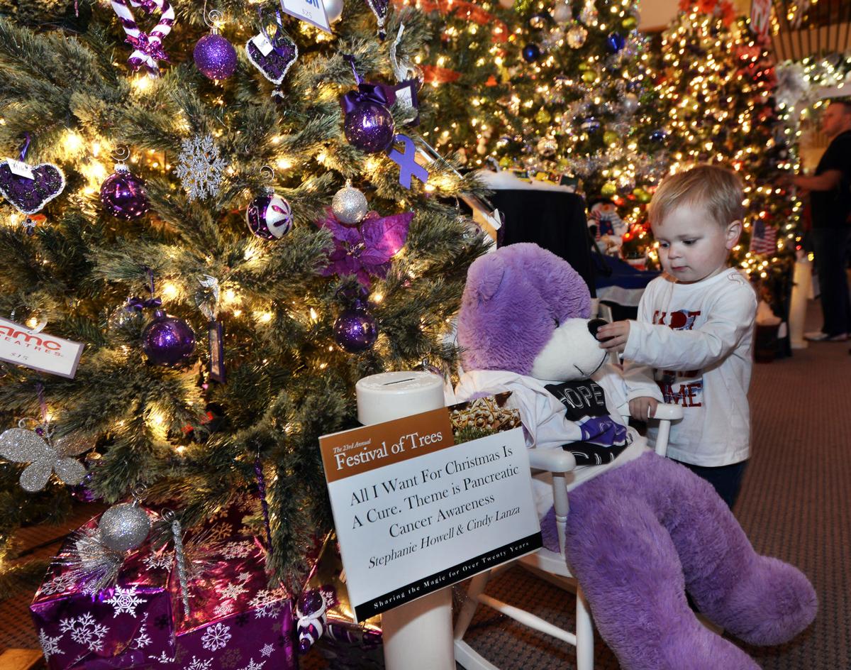 SLIDESHOW METHUEN'S FESTIVAL OF TREES Gallery