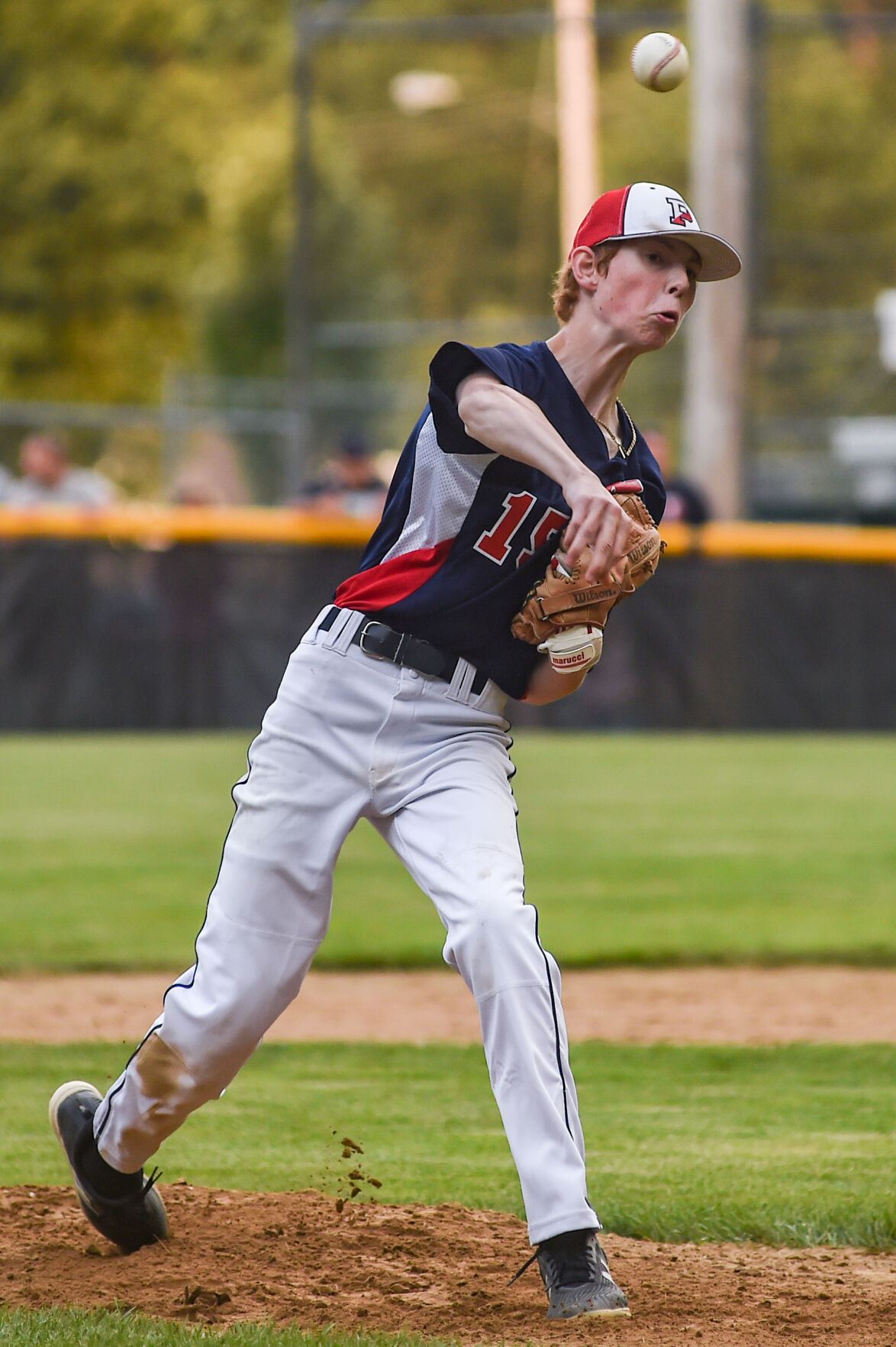Section 4 Little League opening day