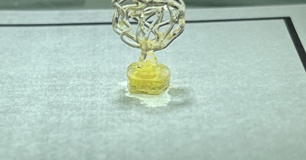 Starlab Space and Auxilium Biotechnologies to Advance Life Sciences Research in Microgravity