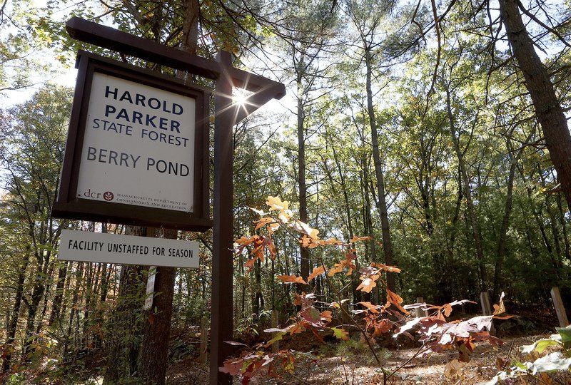 harold parker state forest mountain biking