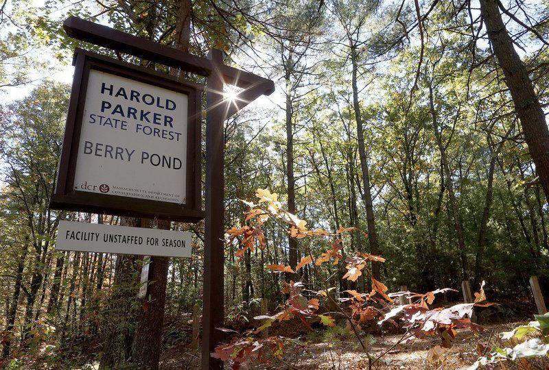 Harold Parker State Forest