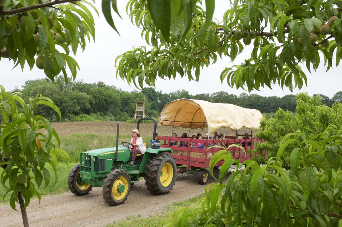 170617_MAG_TJE_SMOLAK_FARM_11.JPG SMOLAK