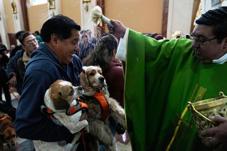 The top photos of the day by AP's photojournalists