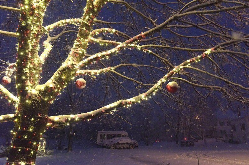 Tree lights up Windham Town Common New Hampshire